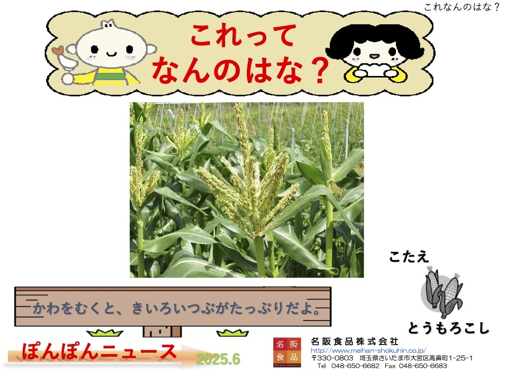 おとなのぽんぽんニュース